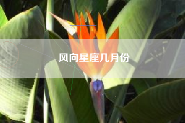 风向星座几月份