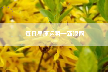 每日星座运势一新浪网