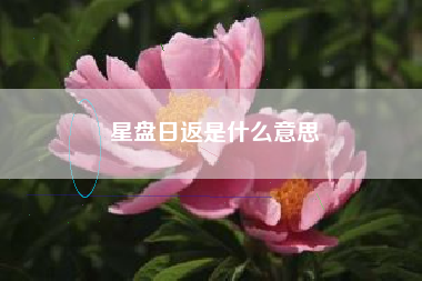 星盘日返是什么意思