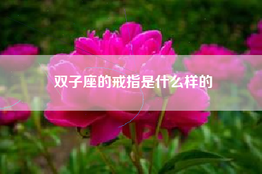 双子座的戒指是什么样的