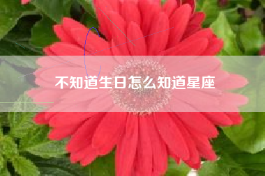 不知道生日怎么知道星座