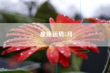 星座运势5月