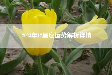 2023年12星座运势解析详情