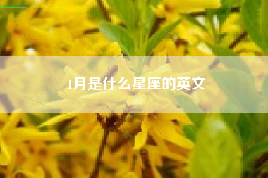 1月是什么星座的英文