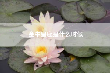 金牛星座是什么时候