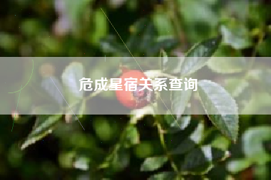 危成星宿关系查询