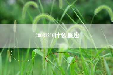 20081210什么星座