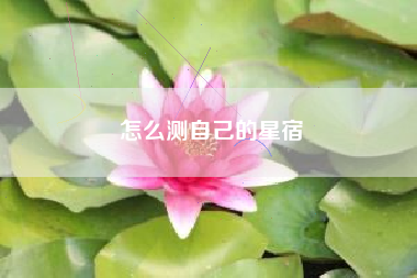 怎么测自己的星宿