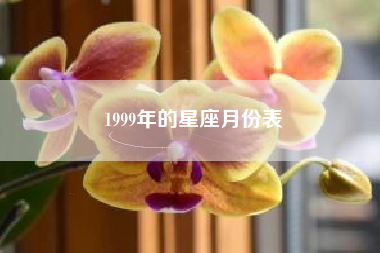 1999年的星座月份表