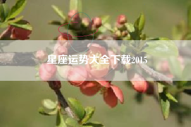 星座运势大全下载2015