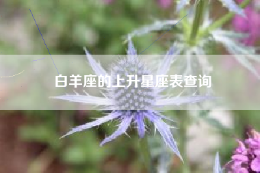 白羊座的上升星座表查询