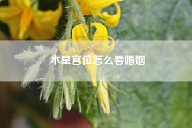 木星宫位怎么看婚姻