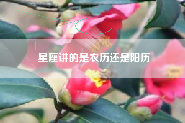 星座讲的是农历还是阳历