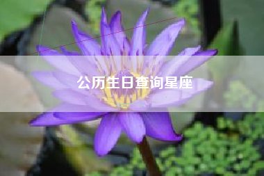 公历生日查询星座