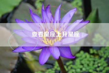 查看星座上升星座