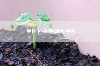 星座运势查询天秤座