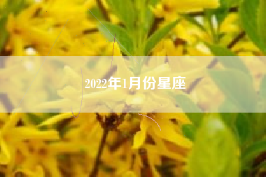 2022年1月份星座