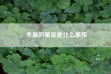 木星的星座是什么星座