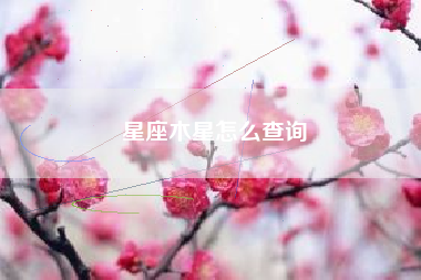 星座木星怎么查询