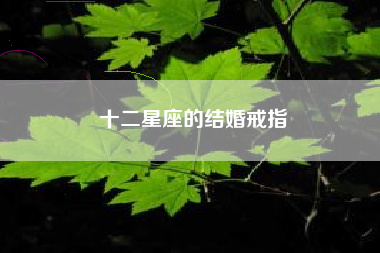 十二星座的结婚戒指