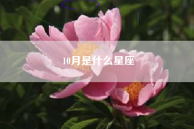 10月是什么星座