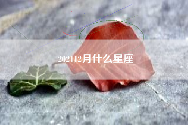 202112月什么星座