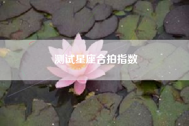 测试星座合拍指数