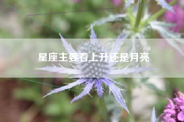 星座主要看上升还是月亮