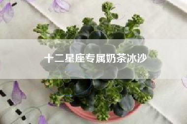 十二星座专属奶茶冰沙