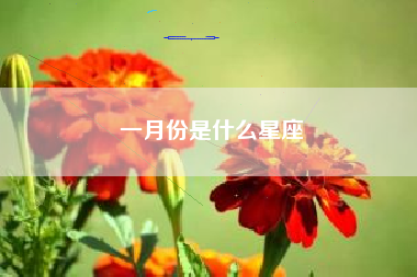 一月份是什么星座