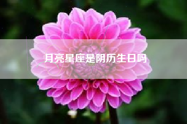 月亮星座是阴历生日吗