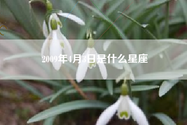 2009年4月3日是什么星座