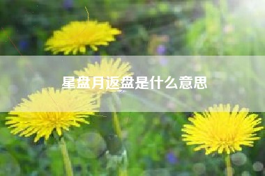 星盘月返盘是什么意思