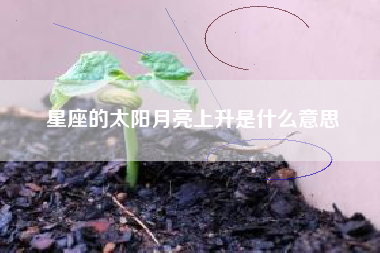 星座的太阳月亮上升是什么意思