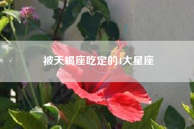 被天蝎座吃定的4大星座