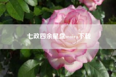 七政四余星盘moira下载