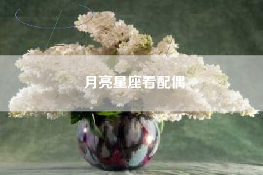 月亮星座看配偶