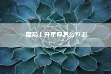 摩羯上升星座怎么查询