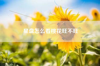 星盘怎么看桃花旺不旺