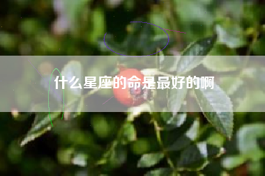 什么星座的命是最好的啊