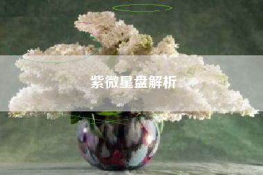 紫微星盘解析