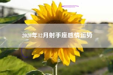 2020年12月射手座感情运势