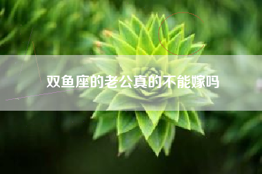 双鱼座的老公真的不能嫁吗