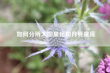 如何分辨太阳星座和月亮星座