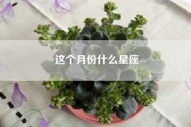 这个月份什么星座