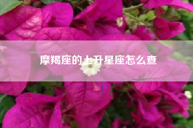 摩羯座的上升星座怎么查