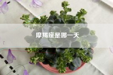 摩羯座是哪一天