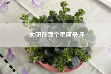 太阳在哪个星座最好