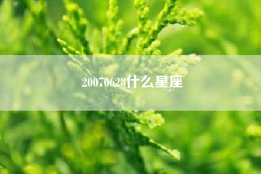 20070628什么星座