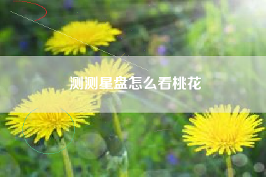 测测星盘怎么看桃花